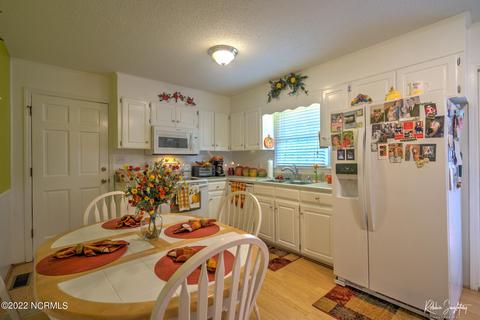 313 James Ave, Hamlet, NC 28345 photo 8