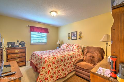 313 James Ave, Hamlet, NC 28345 photo 13