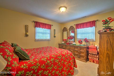 313 James Ave, Hamlet, NC 28345 photo 15