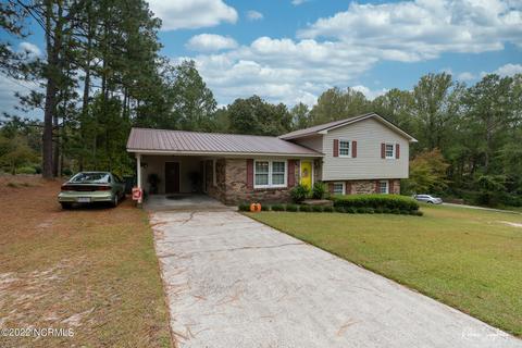 313 James Ave, Hamlet, NC 28345 photo 5