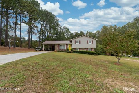 313 James Ave, Hamlet, NC 28345 photo 1