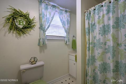 313 James Ave, Hamlet, NC 28345 photo 22
