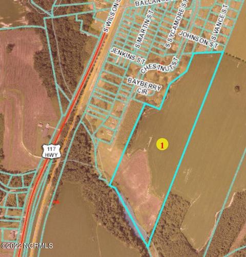 000 Vance St S, Fremont, NC 27863
