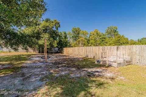 122 Boysenberry Fields Rd, Maple Hill, NC 28454 photo 40