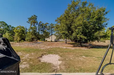 122 Boysenberry Fields Rd, Maple Hill, NC 28454 photo 41