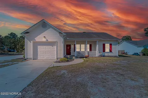 122 Boysenberry Fields Rd, Maple Hill, NC 28454 photo 1