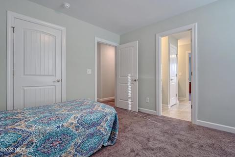 121 Warbler Way, Hampstead, NC 28443 photo 43