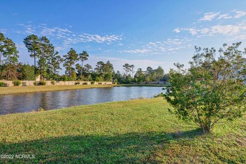 121 Warbler Way, Hampstead, NC 28443 photo 45