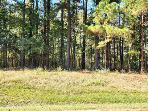 1226 Sans Souci Rd, Windsor, NC 27983