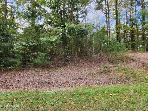 1230 Sans Souci Rd, Windsor, NC 27983 photo 2