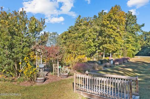 1007 Potomac Dr, Chocowinity, NC 27817 photo 54