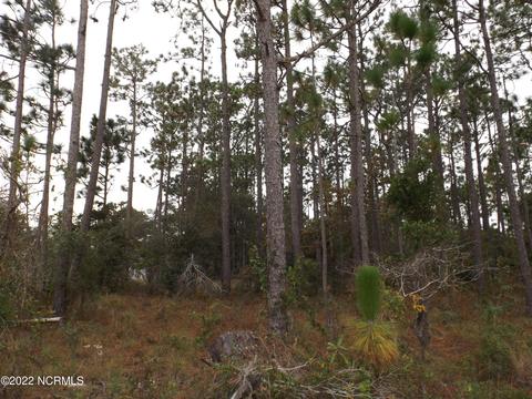 586 Palmer Dr, Boiling Spring Lakes, NC 28461