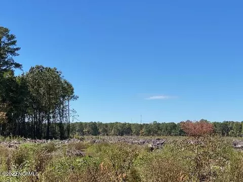 0 Ahoskie Cofield Rd, Ahoskie, NC 27910