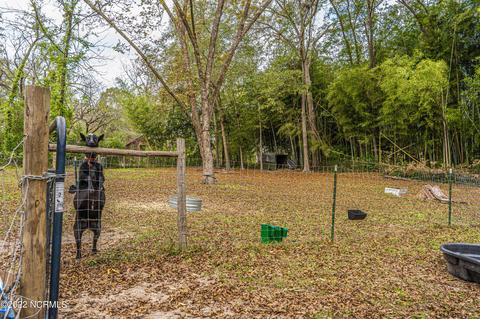 538 Carthage St, Cameron, NC 28326 photo 76
