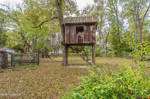 538 Carthage St, Cameron, NC 28326 photo 81