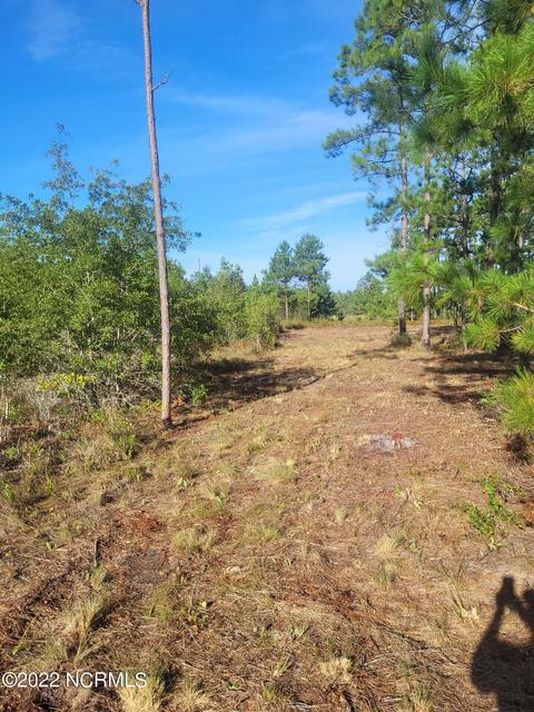 326 Tomahawk Rd, Maple Hill, NC 28454 photo 7