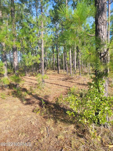 326 Tomahawk Rd, Maple Hill, NC 28454 photo 8