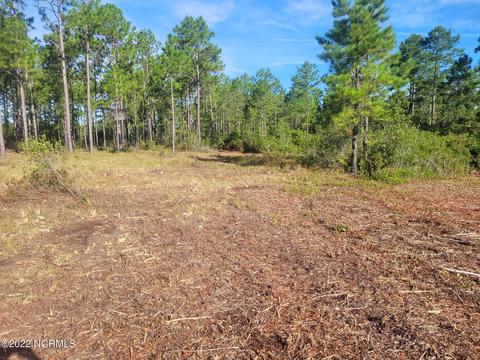 326 Tomahawk Rd, Maple Hill, NC 28454 photo 2