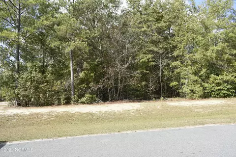 147 Deer Pointe Dr, Snow Hill, NC 28580