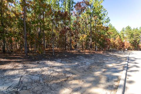 106 Brookfield Dr, Pinehurst, NC 28374 photo 3