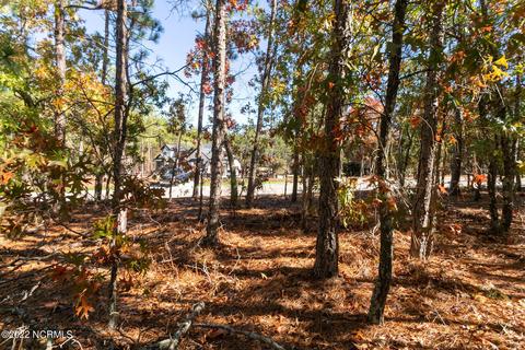 106 Brookfield Dr, Pinehurst, NC 28374 photo 1