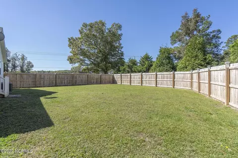 100 Blackwater Dr, Willard, NC 28478 photo 49
