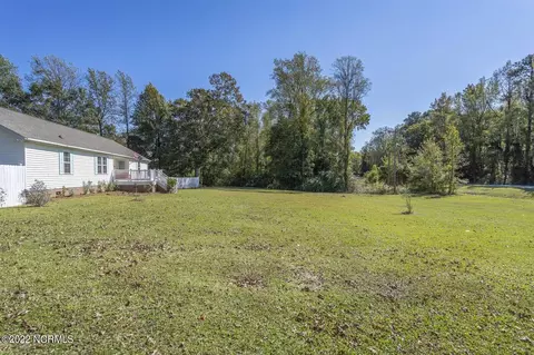 100 Blackwater Dr, Willard, NC 28478 photo 64