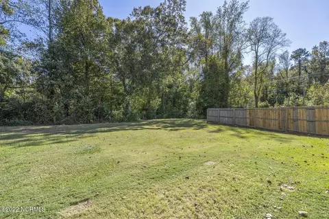 100 Blackwater Dr, Willard, NC 28478 photo 66
