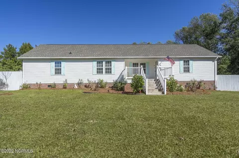 100 Blackwater Dr, Willard, NC 28478 photo 1