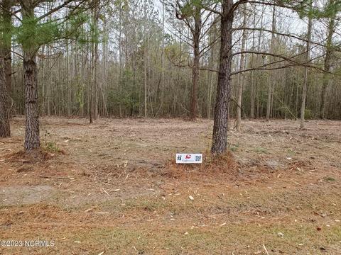 lot73 Eagle Nest Trl, Blounts Creek, NC 27814