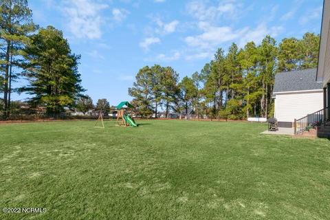 11082 Candlewick Rd, Bailey, NC 27807 photo 41