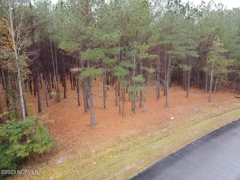 lot56 Eagle Nest Trl, Blounts Creek, NC 27814