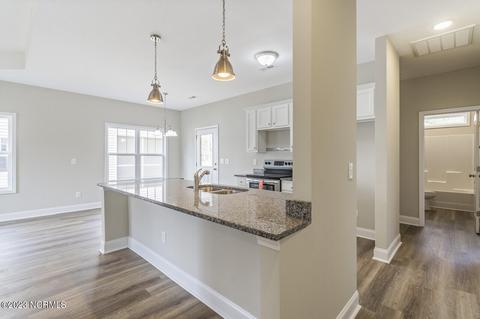 1041 Dan Owen Dr, Hampstead, NC 28443 photo 69