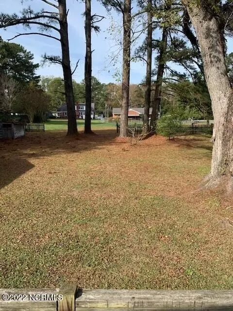 307 E Canal St, Aulander, NC 27805 photo 4