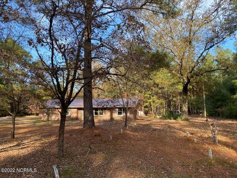 2148 Point Caswell Rd, Atkinson, NC 28421 photo 2