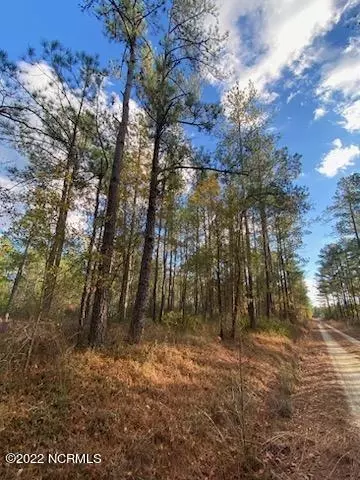 0 Off Jasper Richardson Trl, Elizabethtown, NC 28337