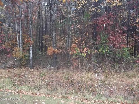 lot1 Sueola Beach Rd, Hertford, NC 27944
