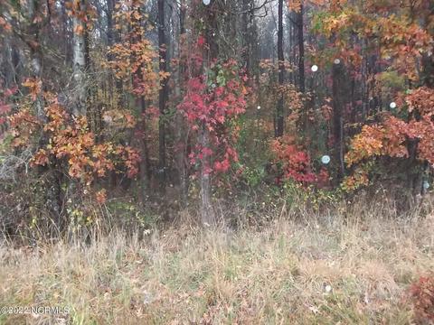 lot4 Sueola Beach Rd, Hertford, NC 27944