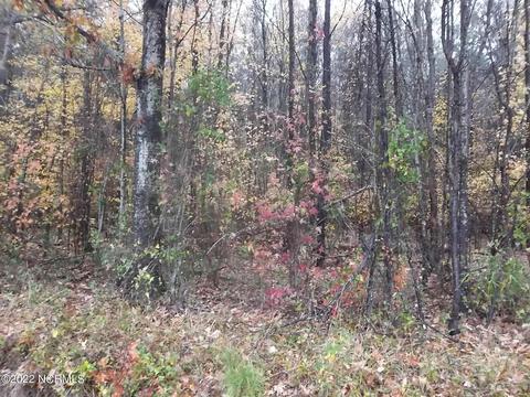 lot5 Sueloa Beach Rd, Hertford, NC 27944