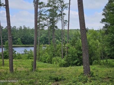 2 Peterson Rd, Clinton, NC 28328