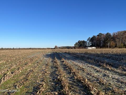 2310 N Market St, Washington, NC 27889