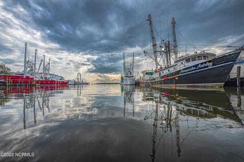 Undisclosed, Mesic, NC 28515 photo 9