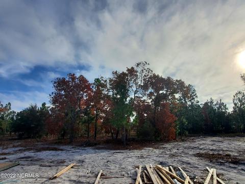 540 Barber Rd, Boiling Spring Lakes, NC 28461 photo 21