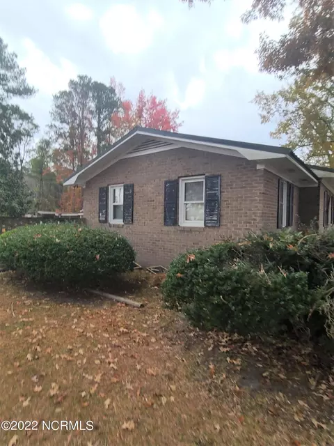 730 Moores Swamp Rd, Ivanhoe, NC 28447 photo 3