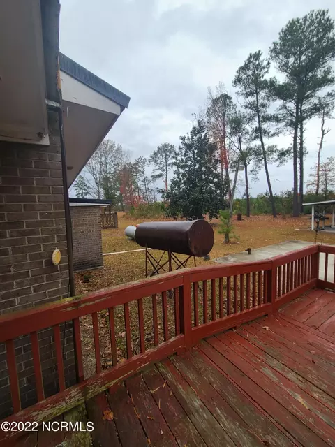 730 Moores Swamp Rd, Ivanhoe, NC 28447 photo 25