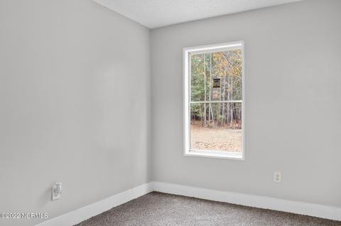 115 Plum Tree Dr, Hamlet, NC 28345 photo 24