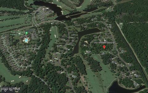 202 October Glory Dr, Wallace, NC 28466