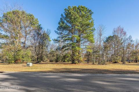 200 October Glory Dr, Wallace, NC 28466 photo 4