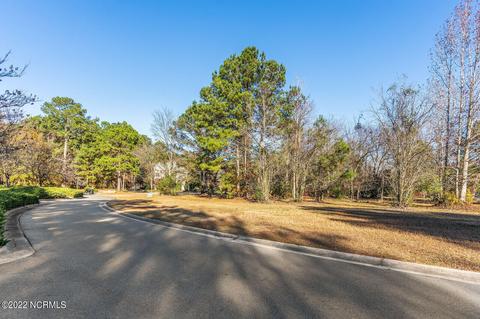 200 October Glory Dr, Wallace, NC 28466 photo 3