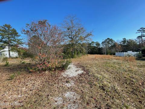 842 Pigott Rd, Gloucester, NC 28528 photo 1